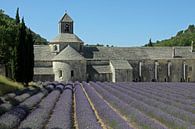 Abbey of Senanque by Antwan Janssen thumbnail