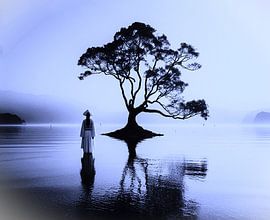 Vrouw alleen met boom .( 2 ) van Ineke de Rijk