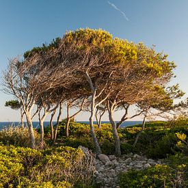 Cala d'Or, Spain sur Robin Kiewiet