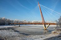 Maagdenburg - Rotehornbrug in de winter van t.ART thumbnail