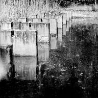 Waterloopbos