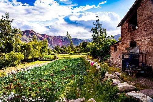 Het levendige land in Sacred Valley, Peru