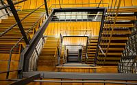 Up to the basement