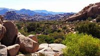 Joshua Tree National Park