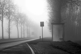 Mysticism in the mist by Framed by Elisabeth
