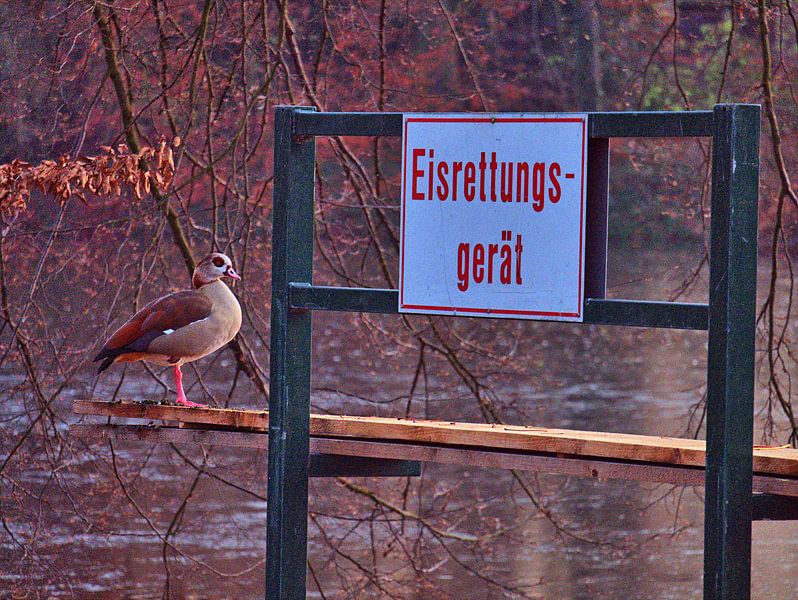 uitrusting voor het redden van ijs van Edgar Schermaul