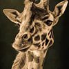 Giraffe portret met olijf groene achtergrond van Marjolein van Middelkoop