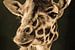Giraffe Porträt mit olivgrünem Hintergrund von Marjolein van Middelkoop