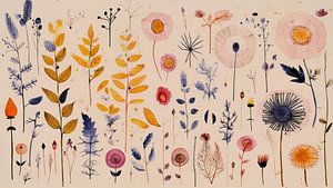 Dry Flower Collection No 1
