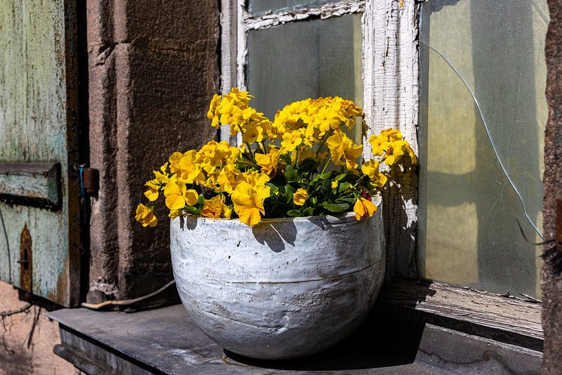 Am Fenster von W.Schriebl PixelArts