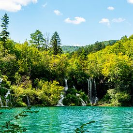 Chutes d'eau sur Dennis Das