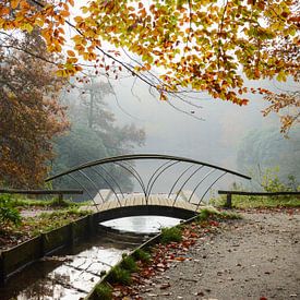 Walking bridge in the misty autumn forest by Marlies Reimering