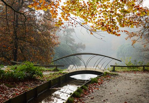 Walking bridge in the misty autumn forest