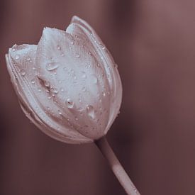 Garde la tête au frais, tulipe fleurie vintage aux couleurs de la terre sur Jolanda de Jong-Jansen