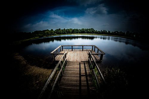  Rose pond on Visdonk estate in Roosendaal (Brabant) (redacted)