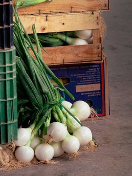 Bunch of fresh onions by Tatiana Tor Photography