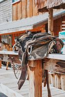 Western saddle