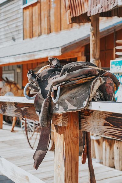 Western saddle by Romana Krijger