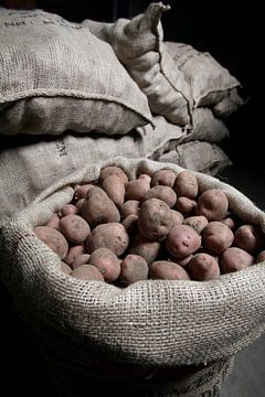 Sacs de jute remplis de pommes de terre de semence pour l'exportation sur Photoned