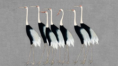 Japanse kraanvogels op grijze textuur