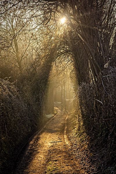 Lever de soleil éthéré à Elzet par Rob Boon