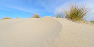 Zandduinen op het strand van Schiermonnikoog in de Waddenzee van Sjoerd van der Wal Fotografie