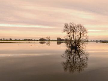 Inondations de l'IJssel avec des niveaux d'eau élevés dans les plaines inondables sur Sjoerd van der Wal Photographie