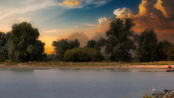 Golden tranquillity by the water.