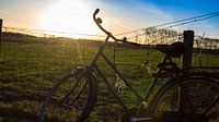 Fiets bij een weiland