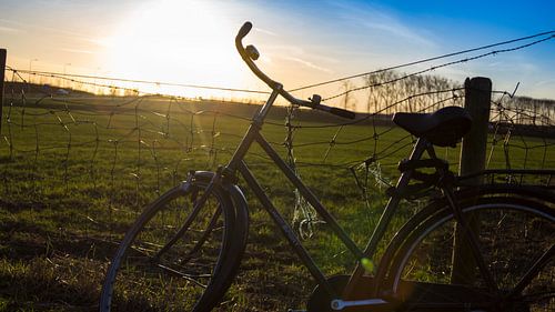 Bike at a meadow