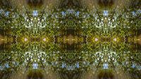 Mirrored leaves, water and symmetry 4 by Heidemuellerin thumbnail