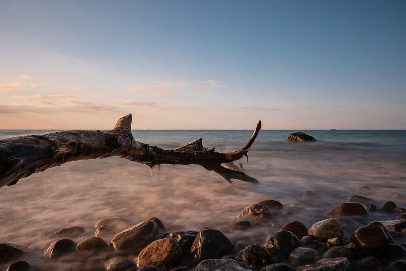 Baumstamm an der Küste der Ostsee bei Nienhagen von Rico Ködder
