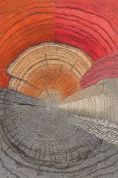 Querschnitt durch die Zeit