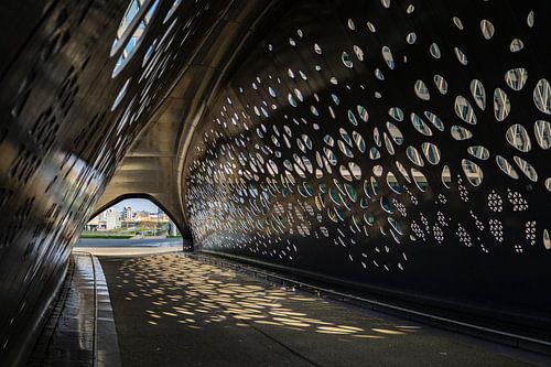 Zonreflectie in de Parkbrug