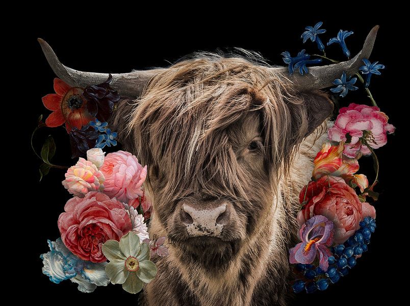 Scottish Highlander dans les fleurs par John van den Heuvel