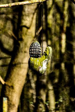 Wandelschoenen aan " de wilgen" van Erik Van der Zwan