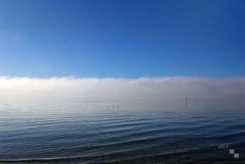 Lake Constance shrouded in mist