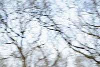 Winterbos
