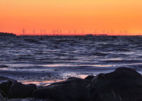 De windmolens aan het Grevelingenmeer