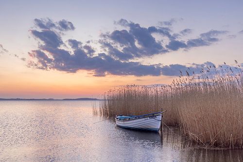 Boot bij zonsondergang in het Achterwasser van Usedom