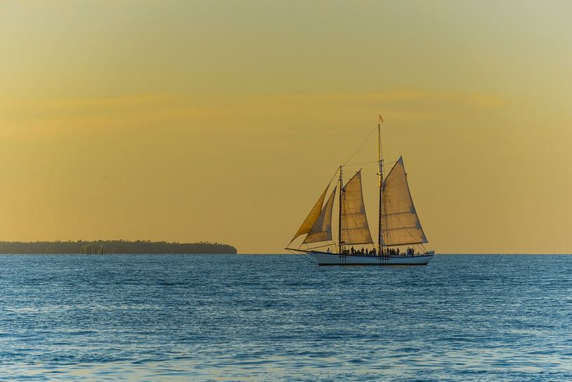 Verenigde Staten, Florida, Majestueus zeilschip op de oceaan bij zonsondergang van adventure-photos