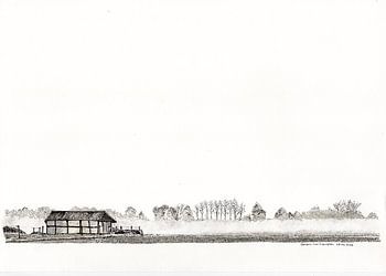 fog over the landscape