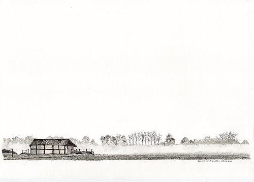 brouillard sur le paysage