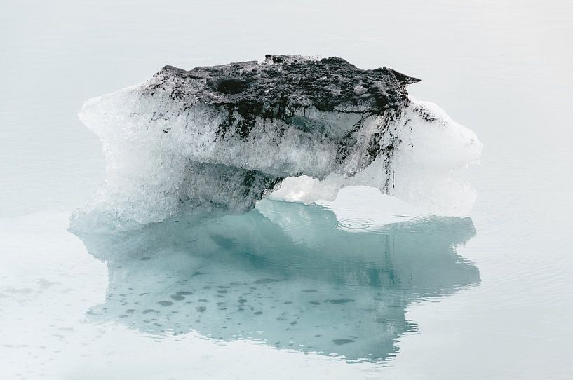 IJs in de vorm van een dier | IJsland van Photolovers reisfotografie