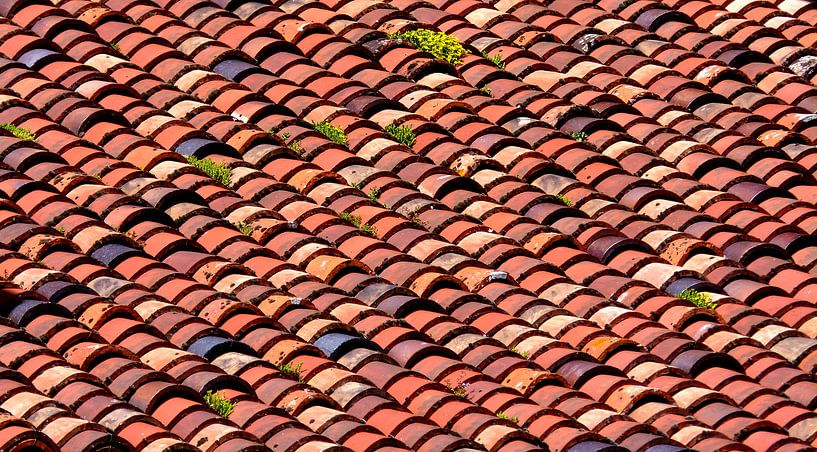 Pfannen von Caroline Lichthart