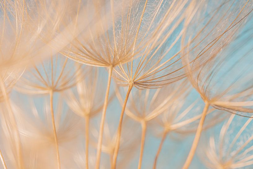 One among the others by Marjolijn van den Berg