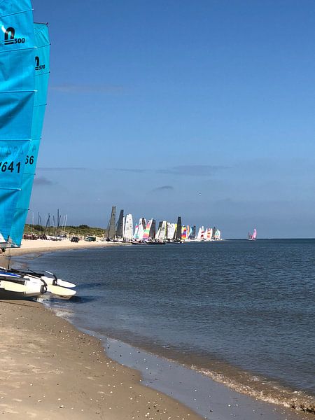 Round of texel by tania mol