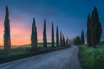 Landweg met cipressen, Toscane van Stefano Orazzini