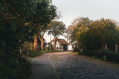 Heure matinale avec brouillard et lever de soleil sur l'île de Rügen, Mecklembourg-Poméranie occidentale, Allemagne
