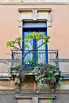 Sizilianischer Balkon mit mediterranem Charme in Catania